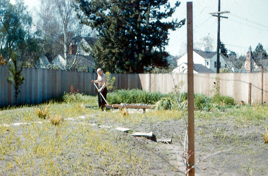 Box22 015 716 backyard 62